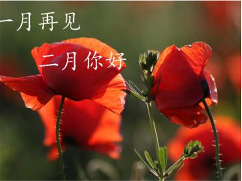 一月再見，美好的二月你好啊